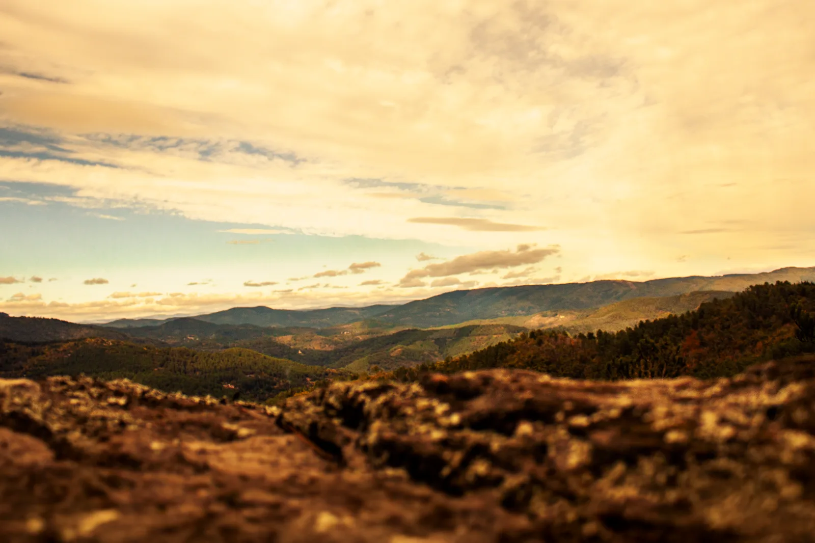 Les plus beaux spots photo des Cévennes