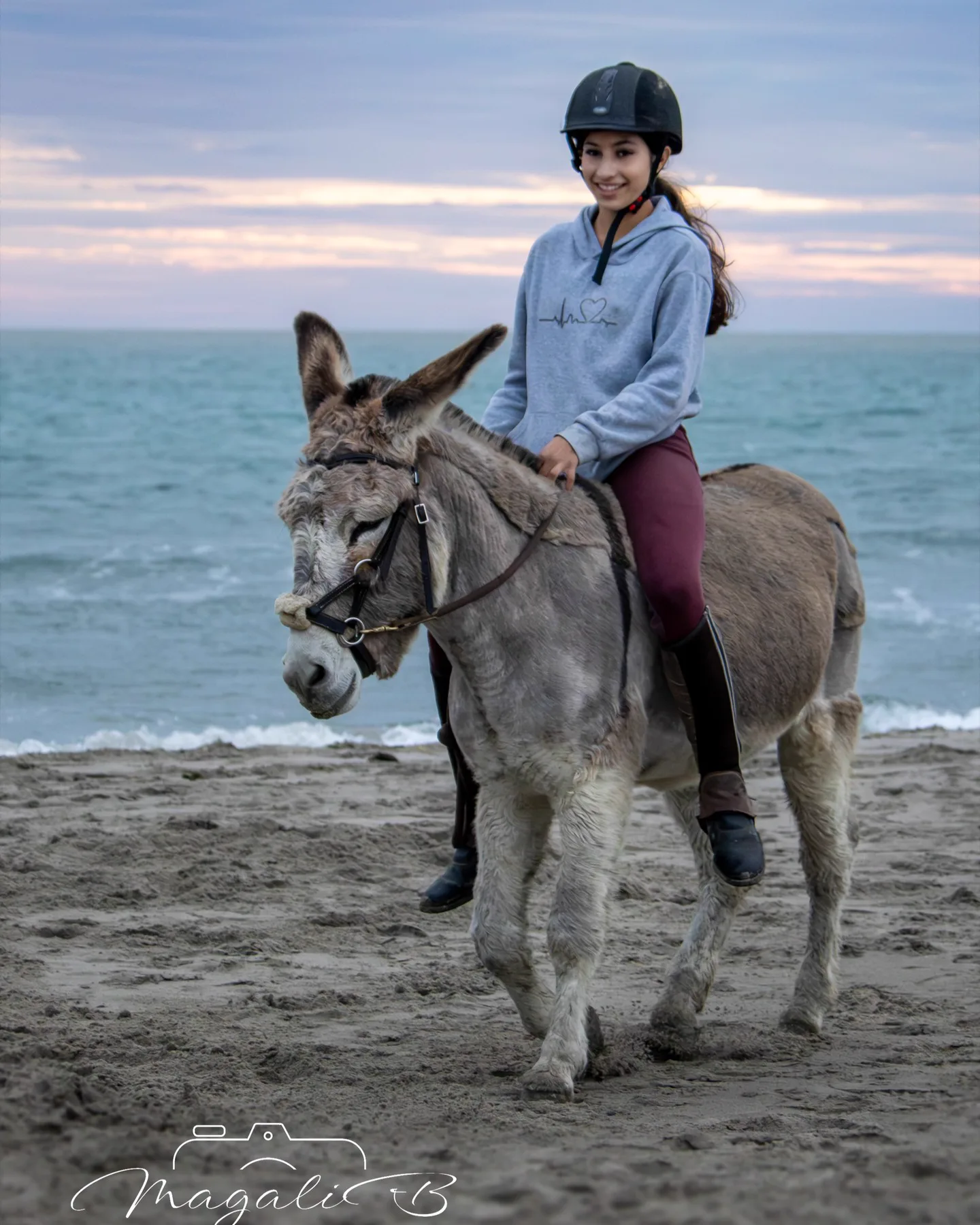 Portraits Animaliers - Image 11