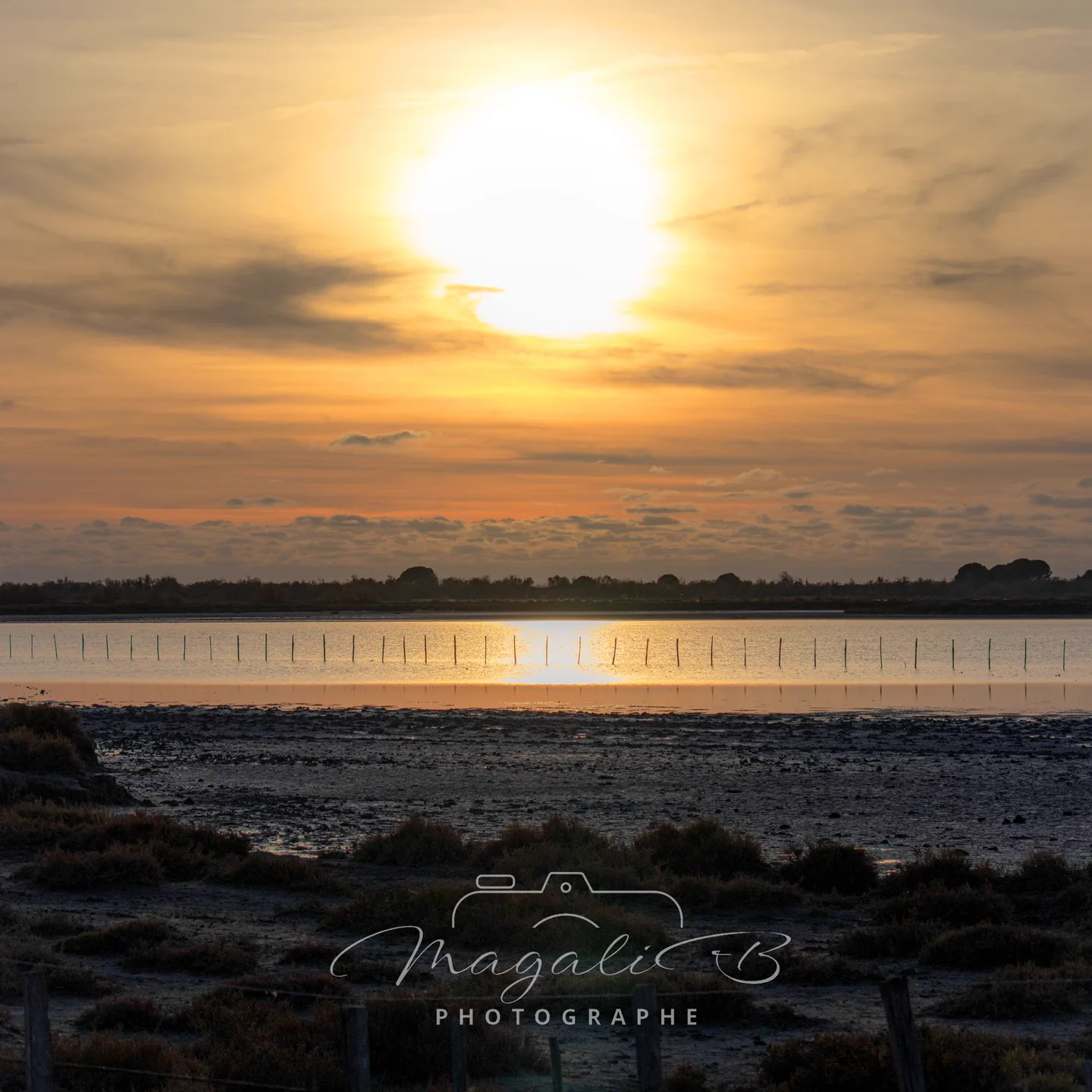 Camargue Authentique - Image 17