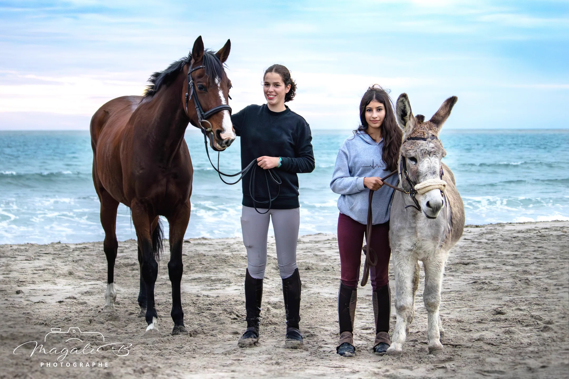 Cavaliers & Chevaux - Image 10