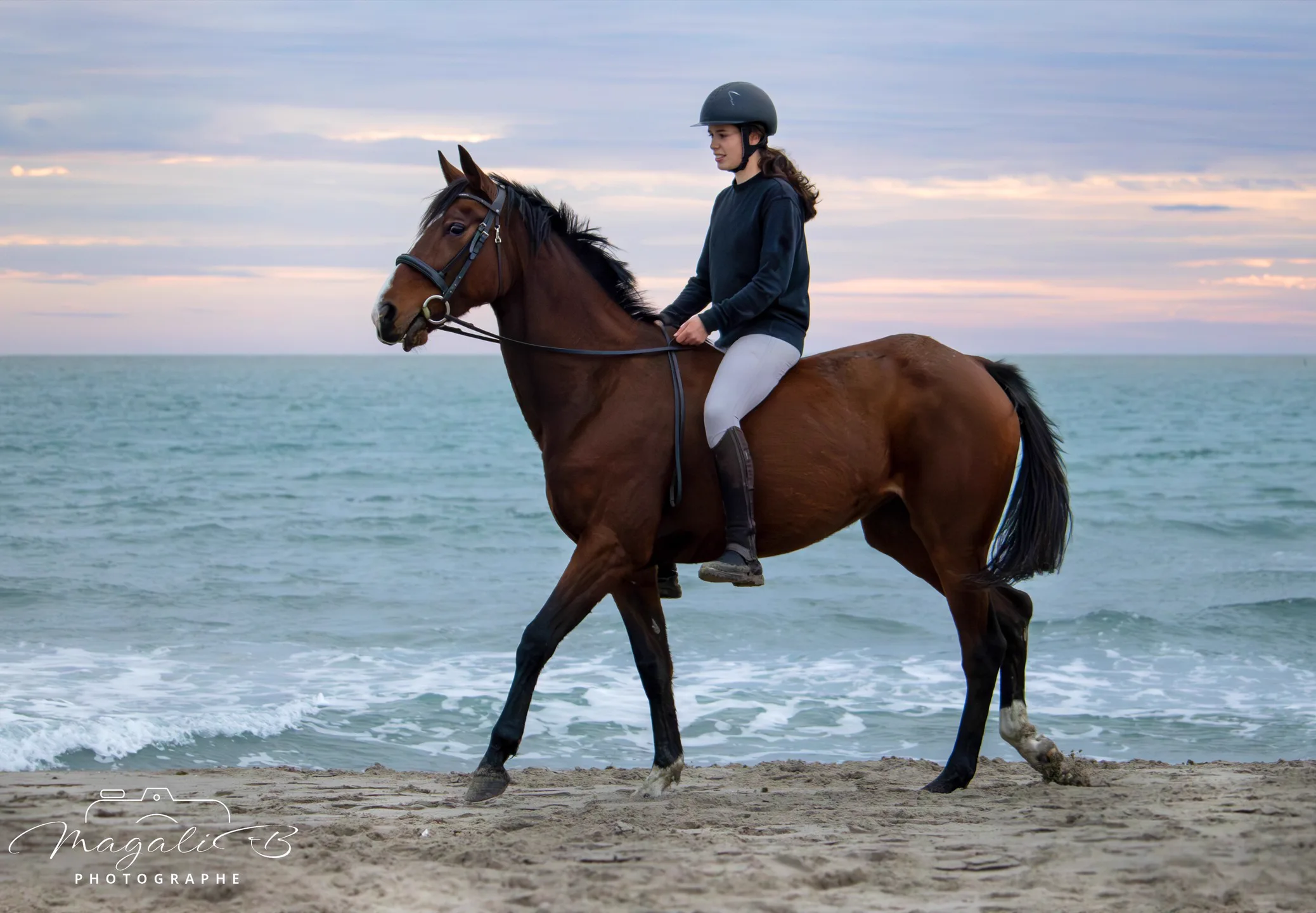 Cavaliers & Chevaux - Image 9
