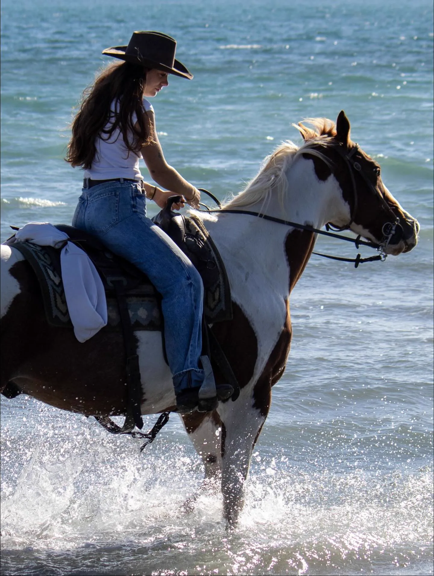 Cavaliers & Chevaux - Image 11