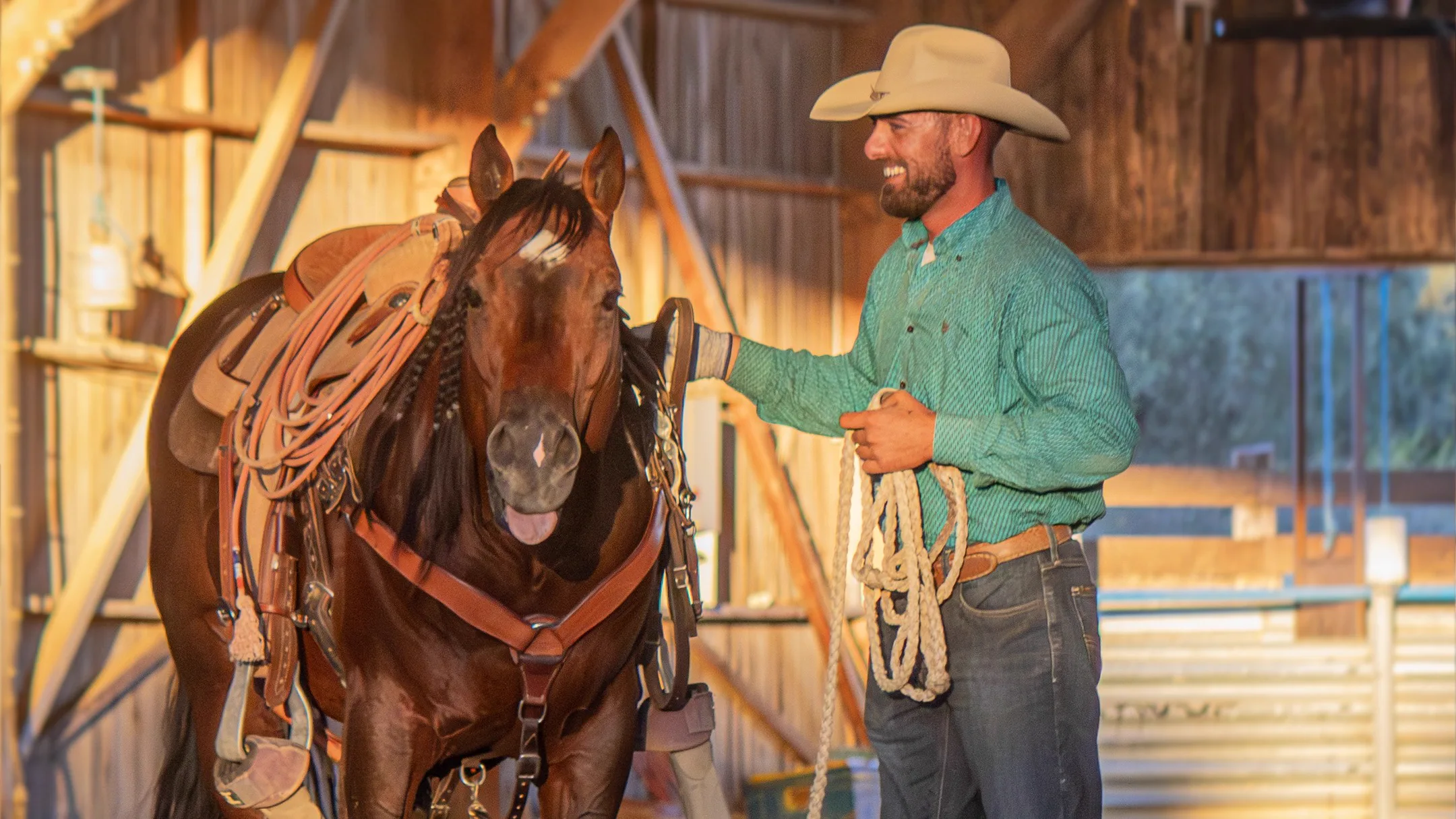 Life Style Western - Image 8