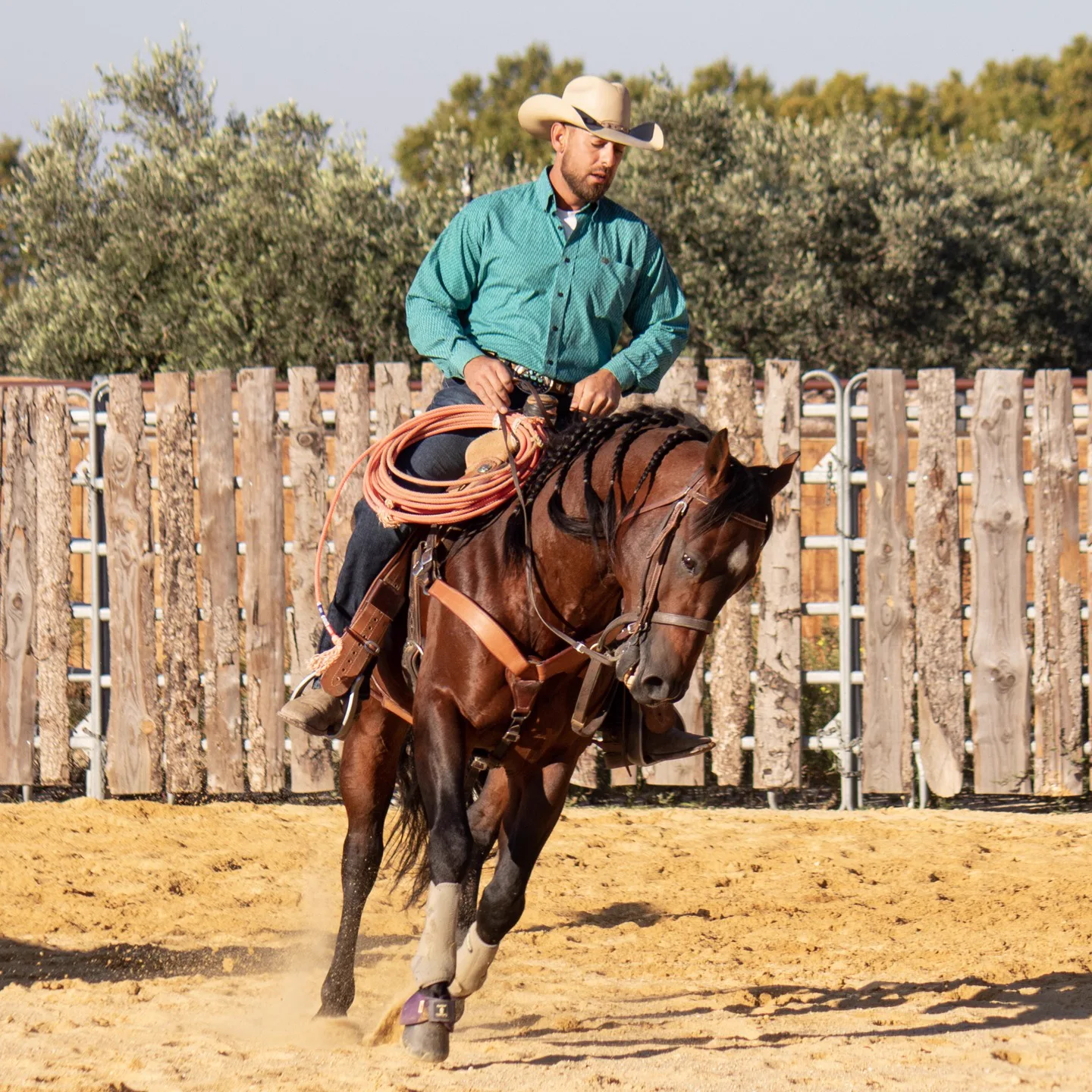 Life Style Western - Image 6
