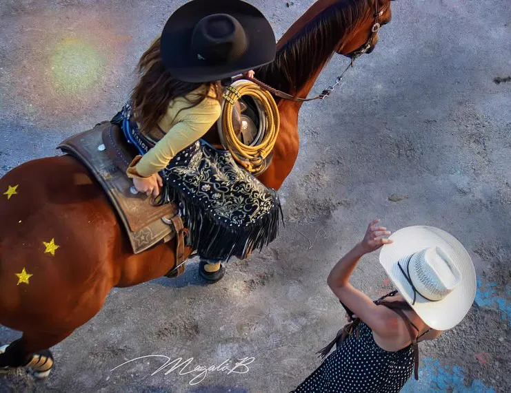 Cavaliers & Chevaux - Image 6
