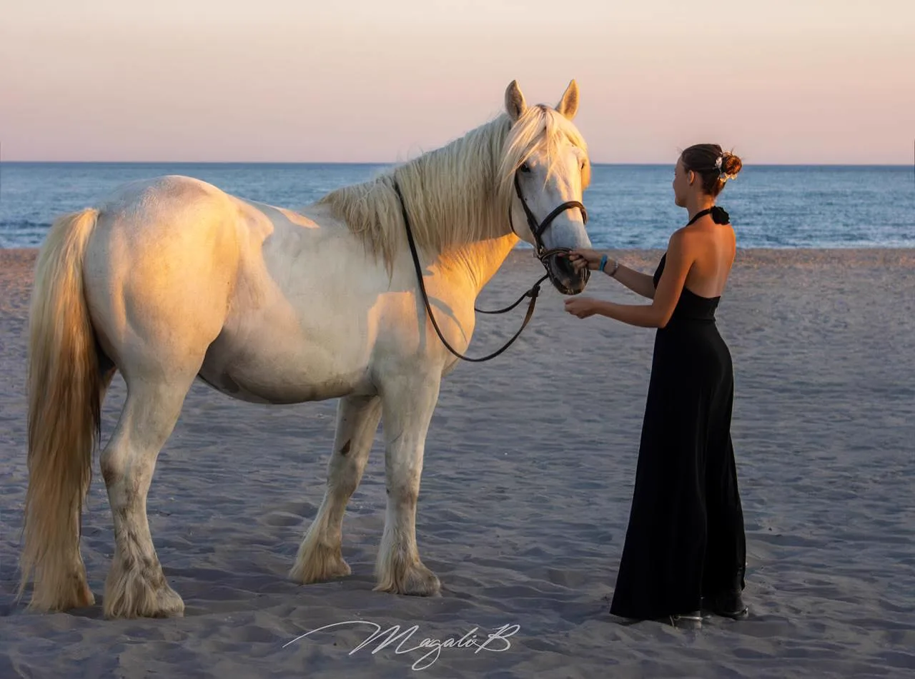 Cavaliers & Chevaux - Image 5