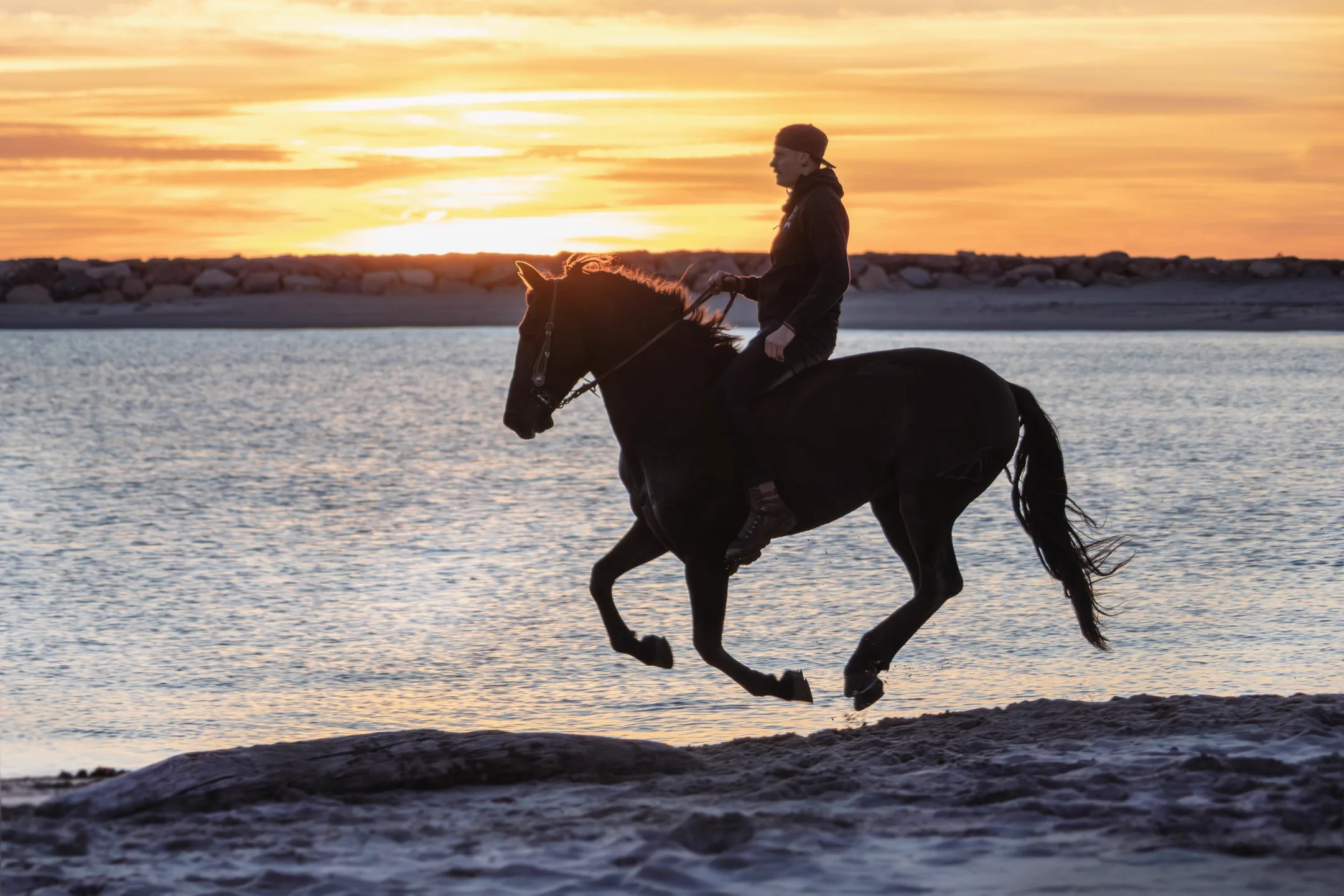 Cavaliers & Chevaux - Image 2