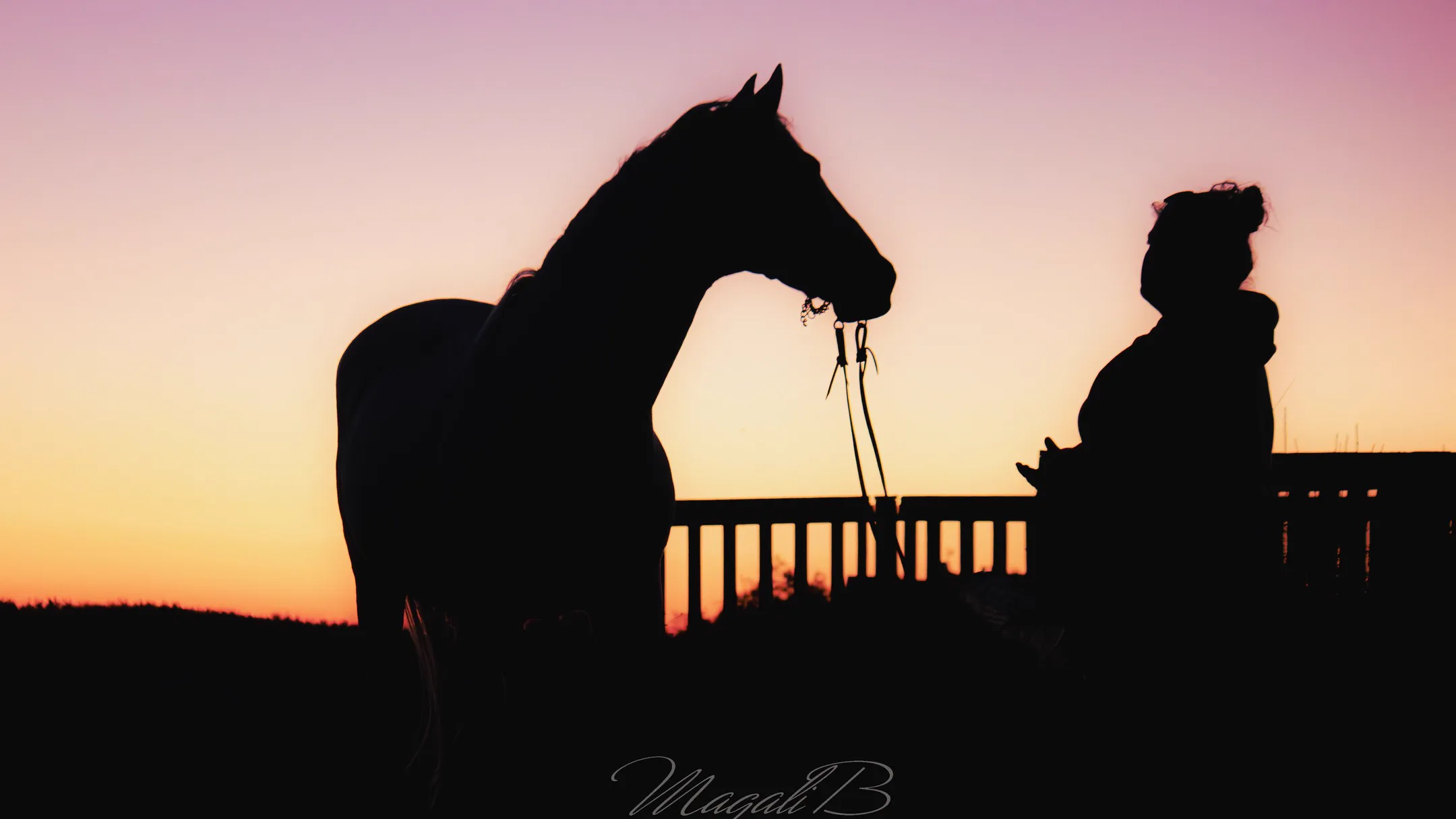 Cavaliers & Chevaux - Image 3